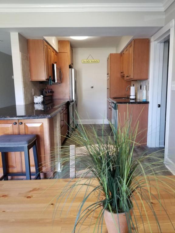 a kitchen with wooden cabinets and a table with a plant at 1340 SE 2nd st. Deerfield in Deerfield Beach