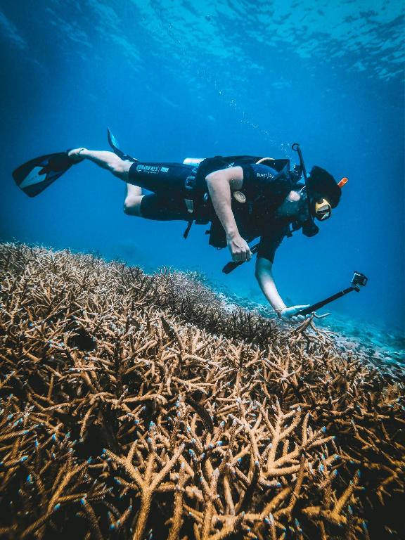 Hosté ubytování DPM Koh Tao Diving Hotel & Bar