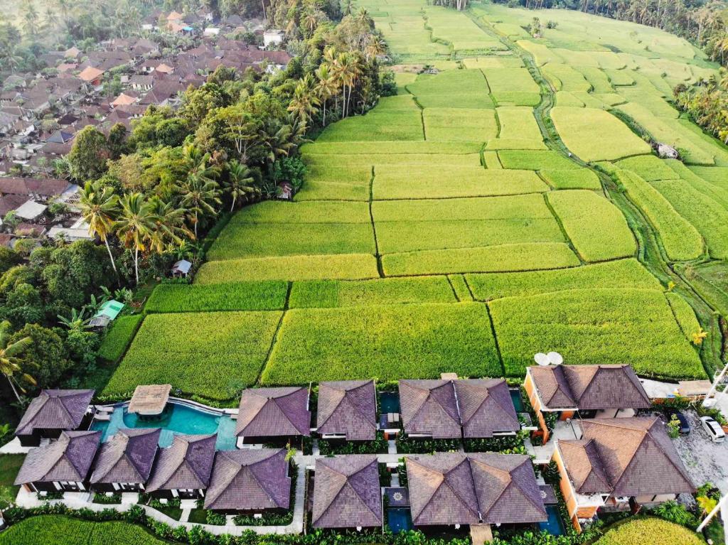 an aerial view of a resort with green plantations at Kayangan Villa Ubud in Tegalalang