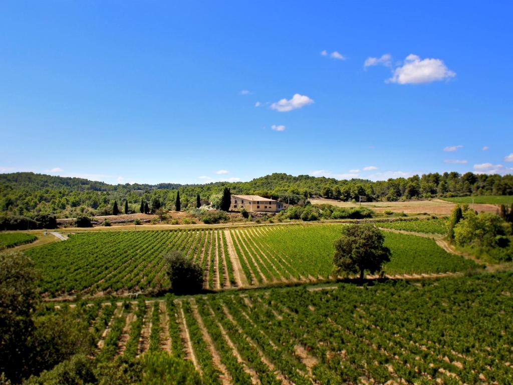 a large green field with a house in the background at Domaine de Palats in Laure-Minervois
