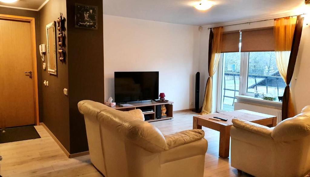TV a/nebo společenská místnost v ubytování Cinema Hostel Järvakandi