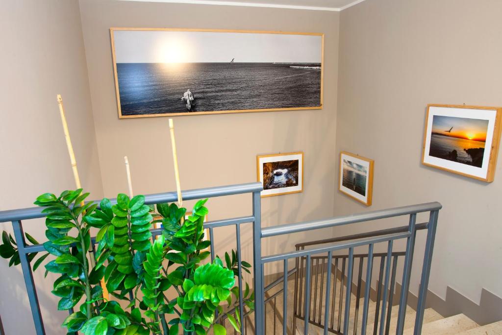 A television and/or entertainment centre at TerraSole Bakery B&B