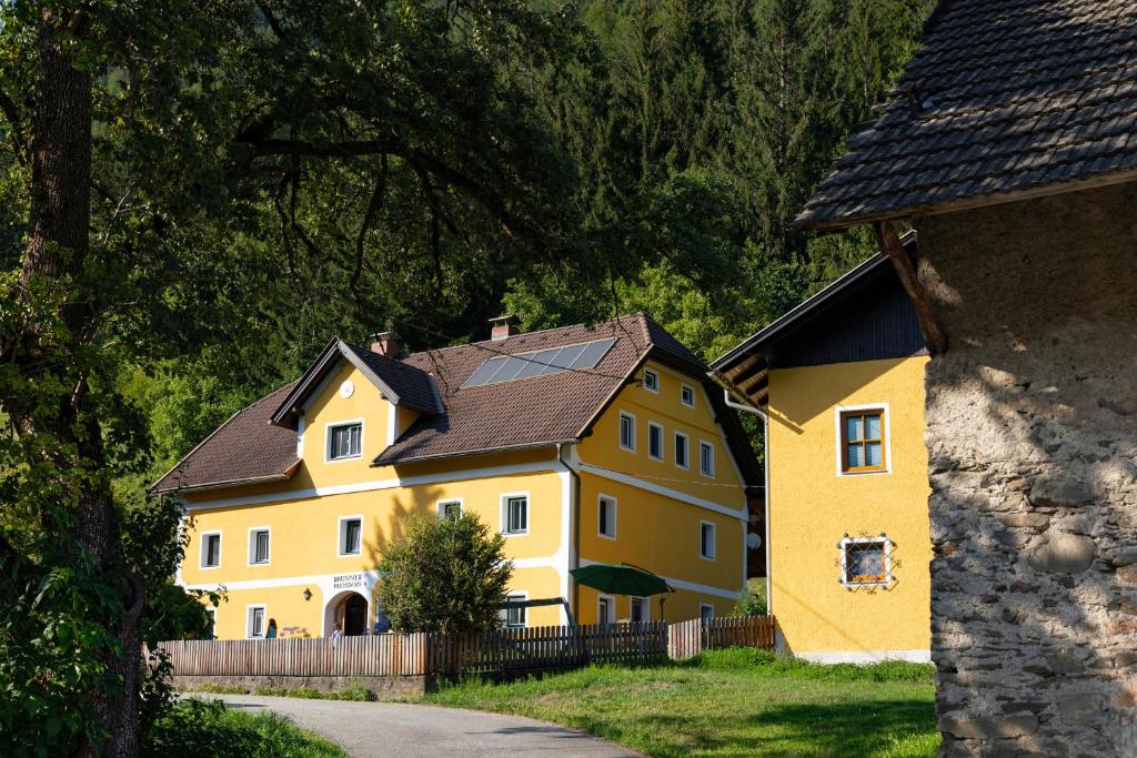ein großes gelbes Haus mit schwarzem Dach in der Unterkunft Brunner - Ferienwohnung im Hühnerhotel in Unterkolbnitz