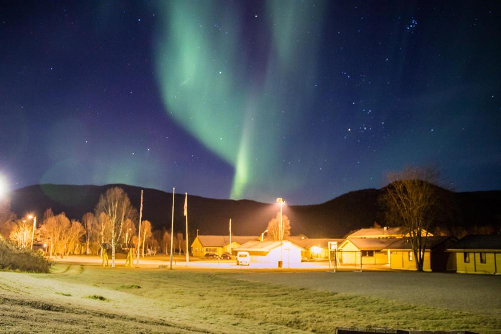 an image of the aurora in the sky over a field at Haraldvollen Red Cross Center in Bardufoss
