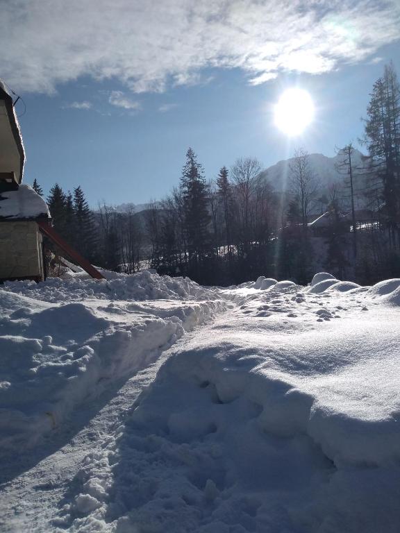 Príroda v okolí apartmánu
