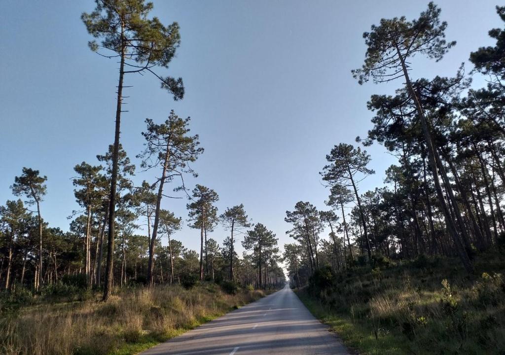 Příroda nedaleko hostelu