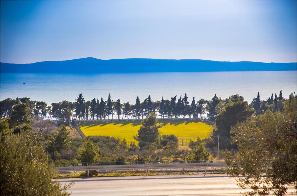 a field of yellow flowers with a lake in the background at Apartments Mate in Tučepi