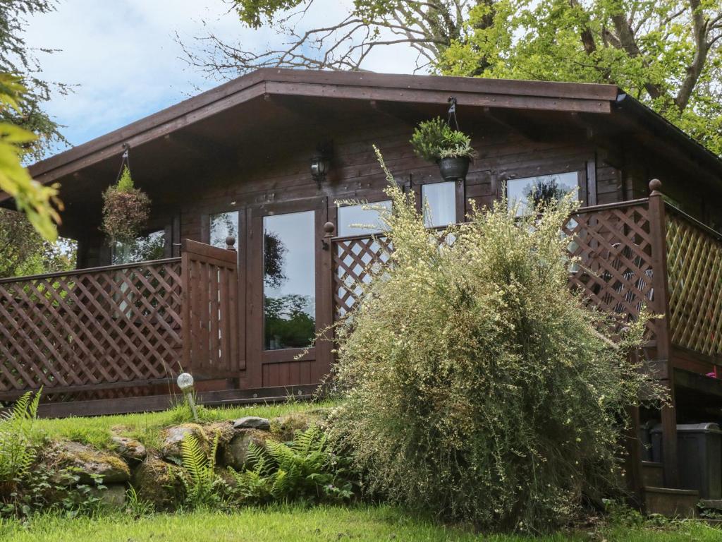 a cabin in the woods with a porch at Y Caban in Llangelynin