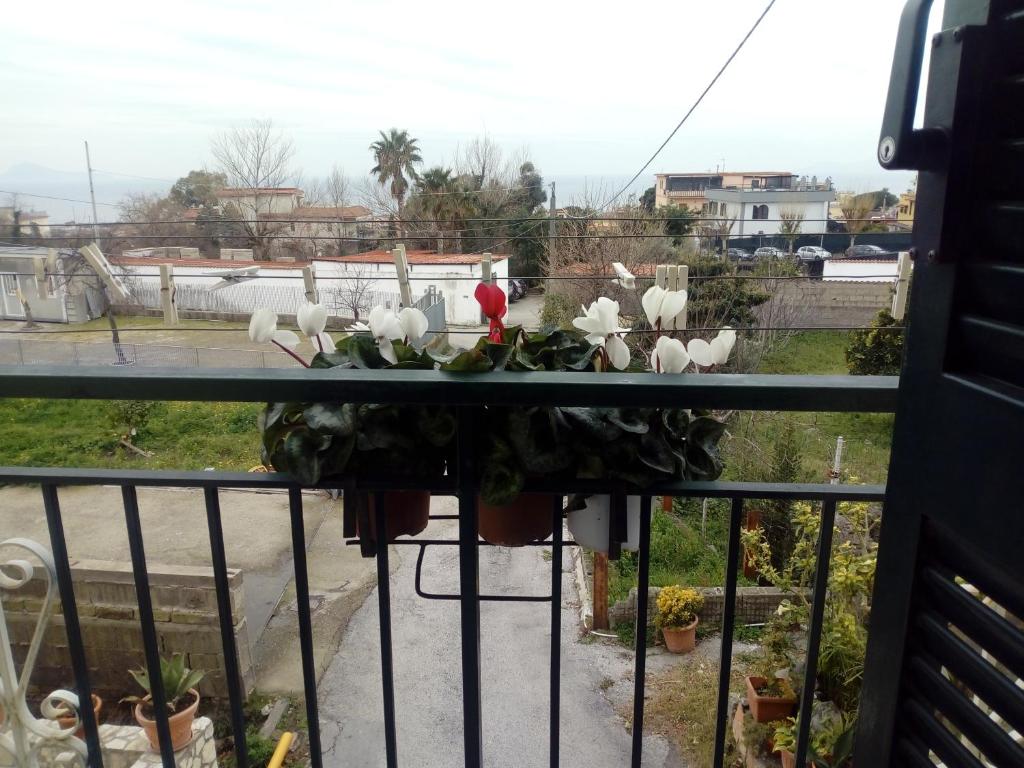 Balkon lub taras w obiekcie CASA VACANZE da Rosy