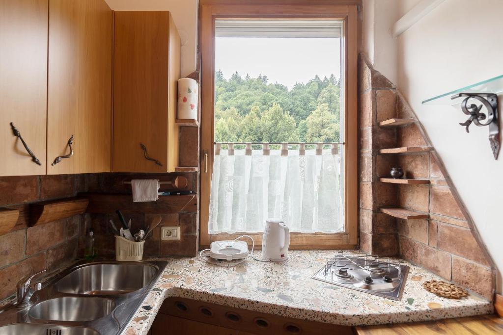 eine Küche mit einem Waschbecken und einem Fenster in der Unterkunft Cozy, Bright and Affordable Single Studio - Free Parking in Ljubljana