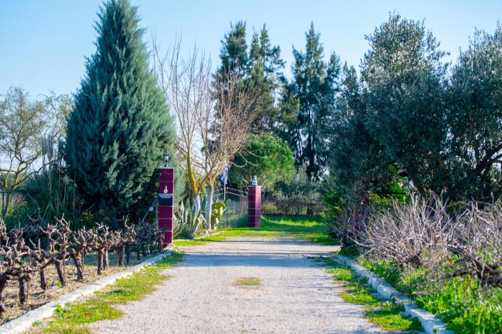Zahrada ubytování Loukas Farm House