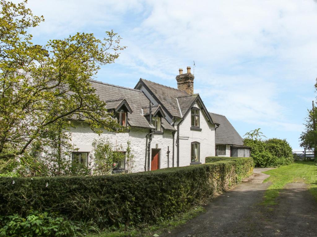 a white house with a hedge in front of it at Penymaes in Chirk