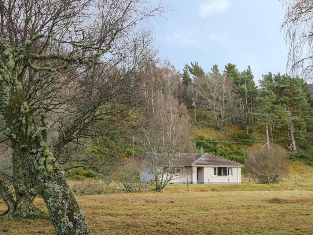 a small white house in a field with trees at Tigh An Tearlach in Feshiebridge