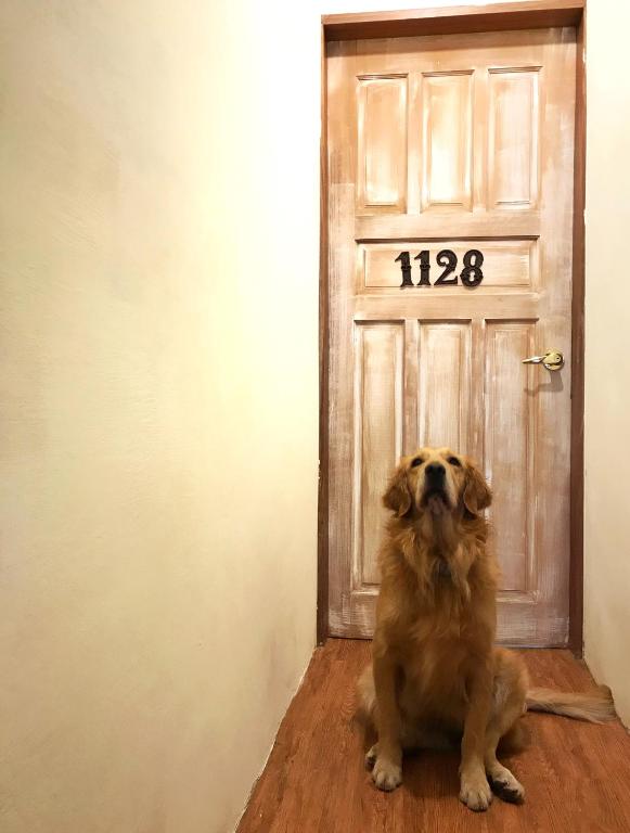 Domácí mazlíčci ubytovaní s hosty v ubytování 墾丁寵物友善 鐵宿 Tetsu B&B