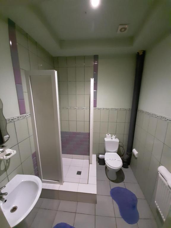 Koupelna v ubytování Лагуна