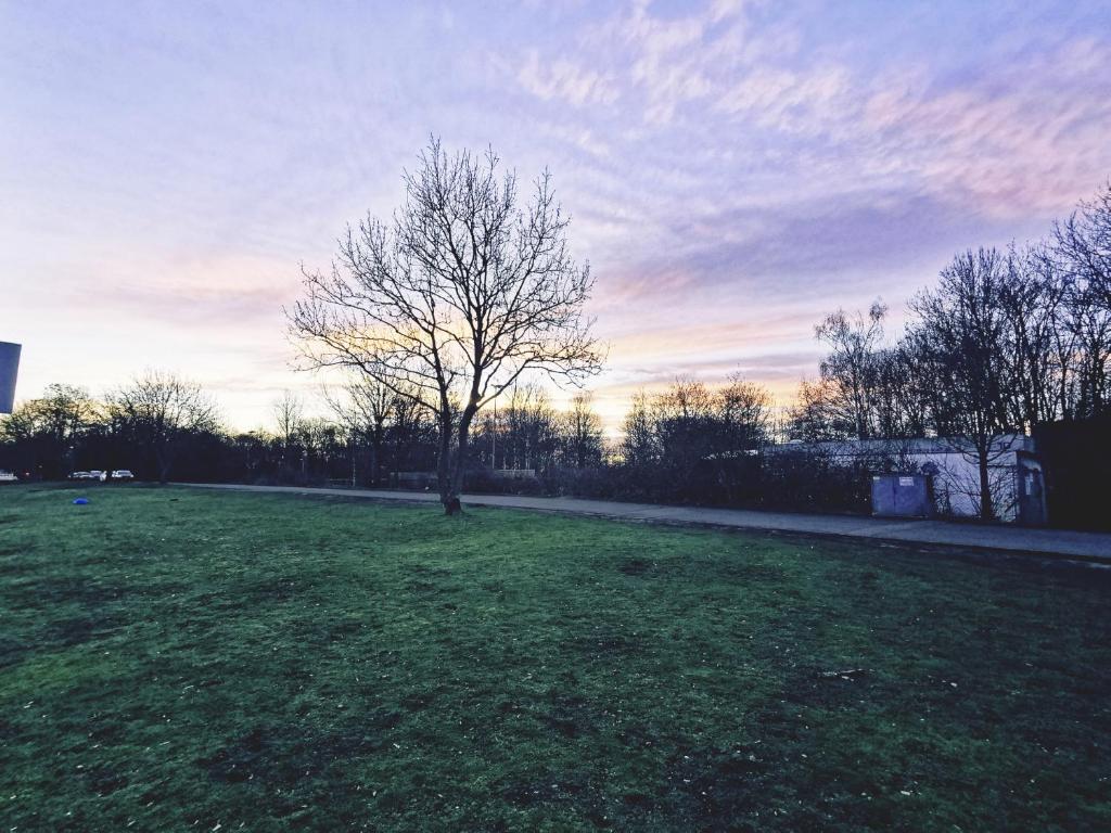 Hotel Fortune - Resim 16