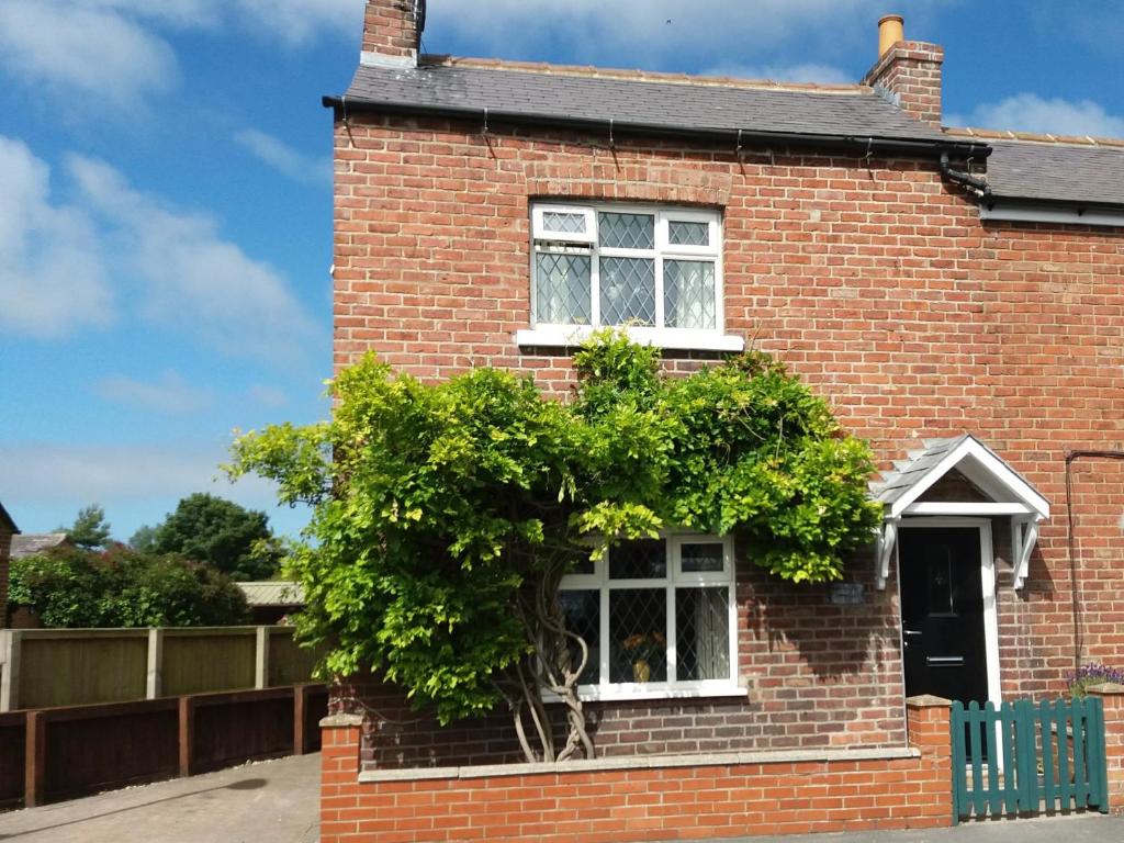 a red brick house with a tree in the window at Sunnyside Cottage in Filey
