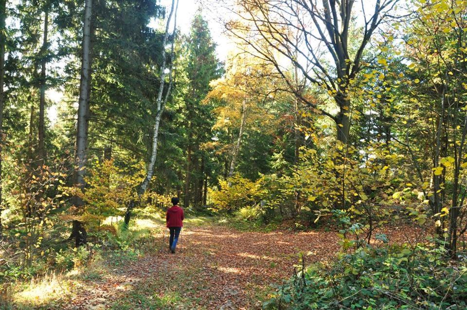 Hosté ubytování Bauernhof Mittereibenberger
