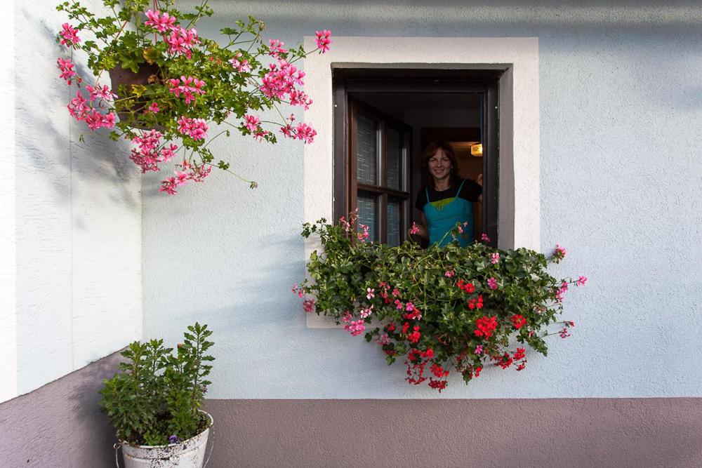 Hosté ubytování Bauernhof Mittereibenberger