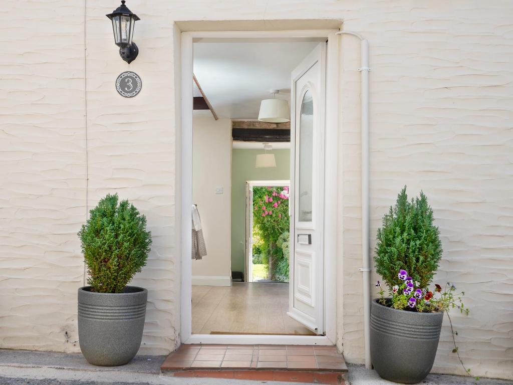a hallway with two large pots with plants in them at 3 Horse Pool Road in Laugharne