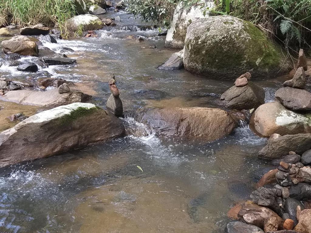  Ada Verde