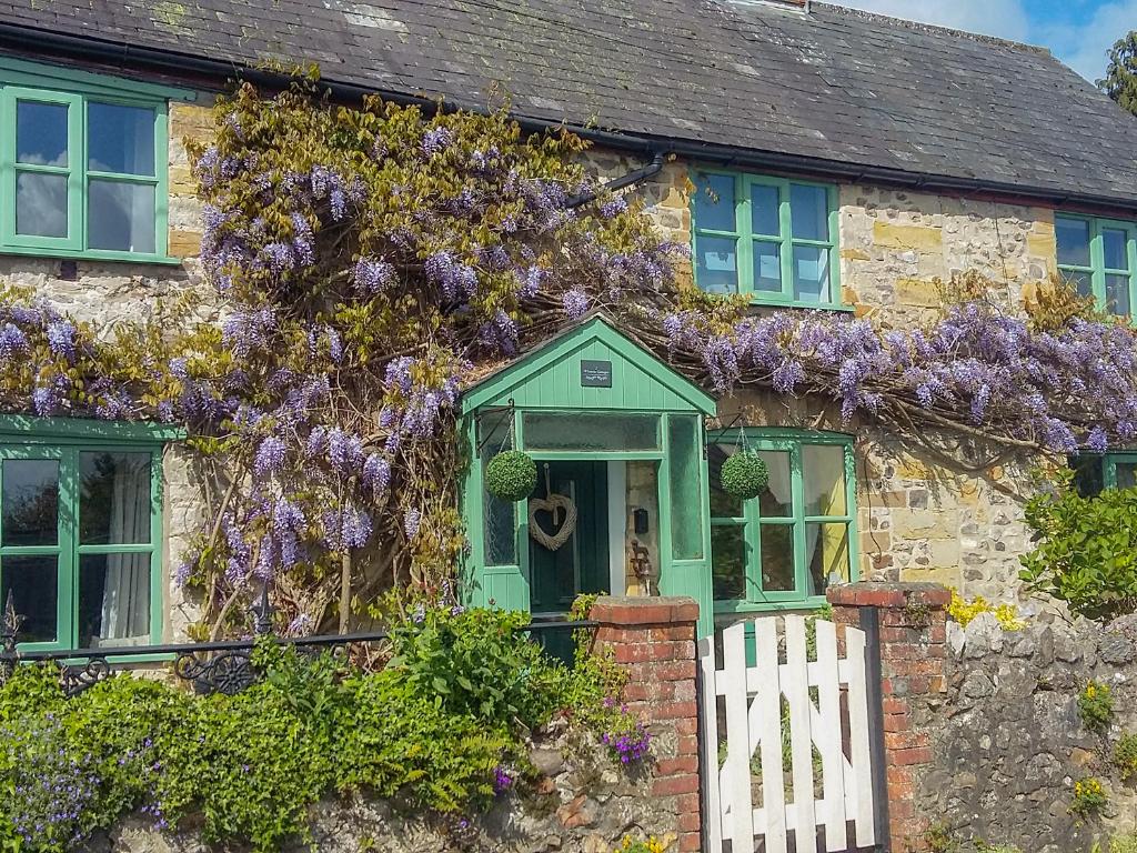 チャードにある2 Wisteria Cottagesの紫藤の石造りの家