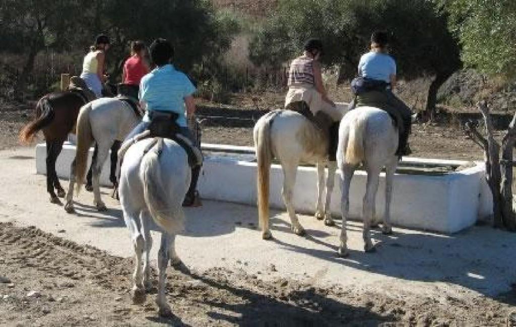 Booking.com: Hostal o pensión Casa Pacheco , Conil de la ...