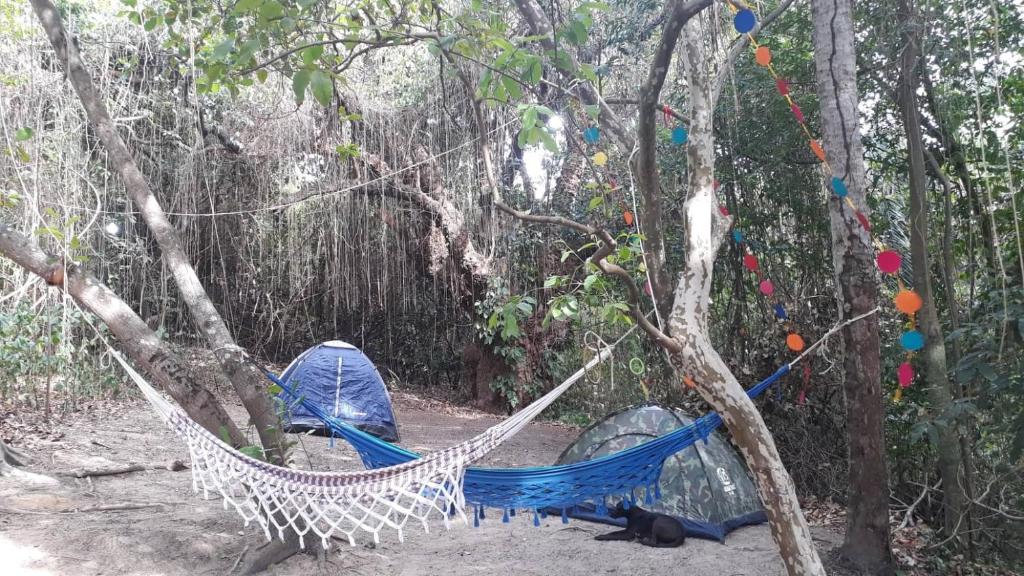  CAMPING CARNAVAL OLINDA