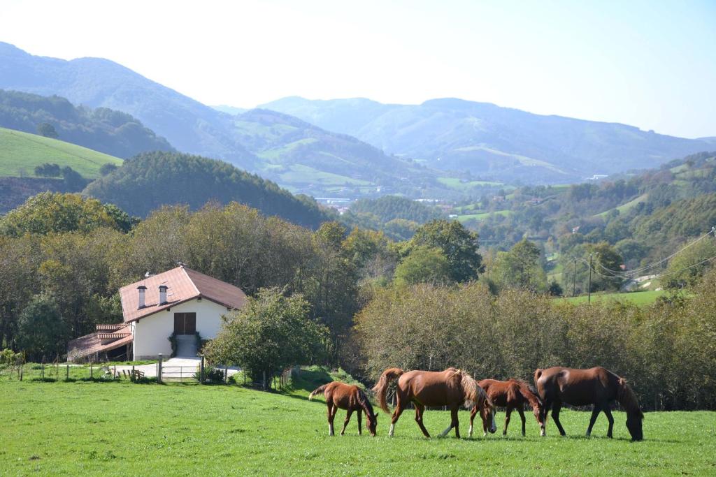 un groupe de chevaux paissant dans un champ avec des montagnes en arrière-plan dans l'établissement CASA RURAL Arriaran, à Leitza