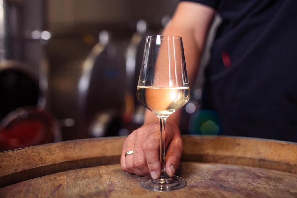 Nápoje v ubytování Winzerhof Supperer