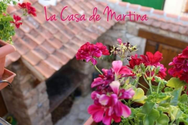 um grupo de flores em frente a uma parede de tijolos em La casa de Martina em Pedraza