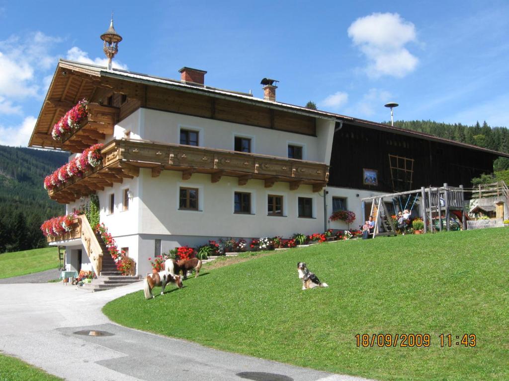 um grande edifício com dois cães à frente em Ferienwohnung Schoberhof em Filzmoos