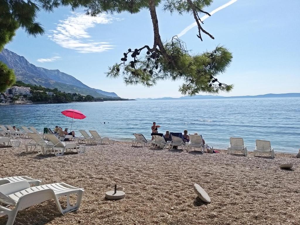 Príroda v okolí apartmánu
