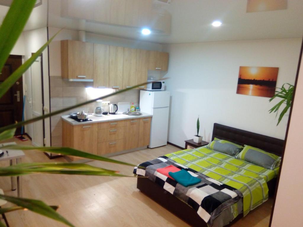 Il comprend une petite chambre avec un lit et une cuisine. dans l'établissement Comfortable Studio Apartments in a Secure Residential Complex Comfort Town КТ-02, à Kiev