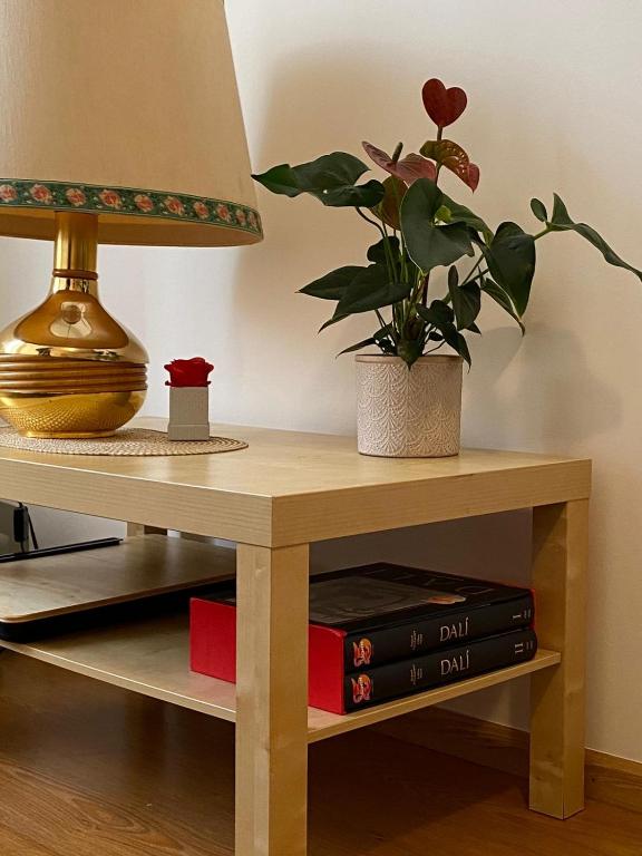 stół z lampą i rośliną doniczkową w obiekcie Feltre House w mieście Feltre
