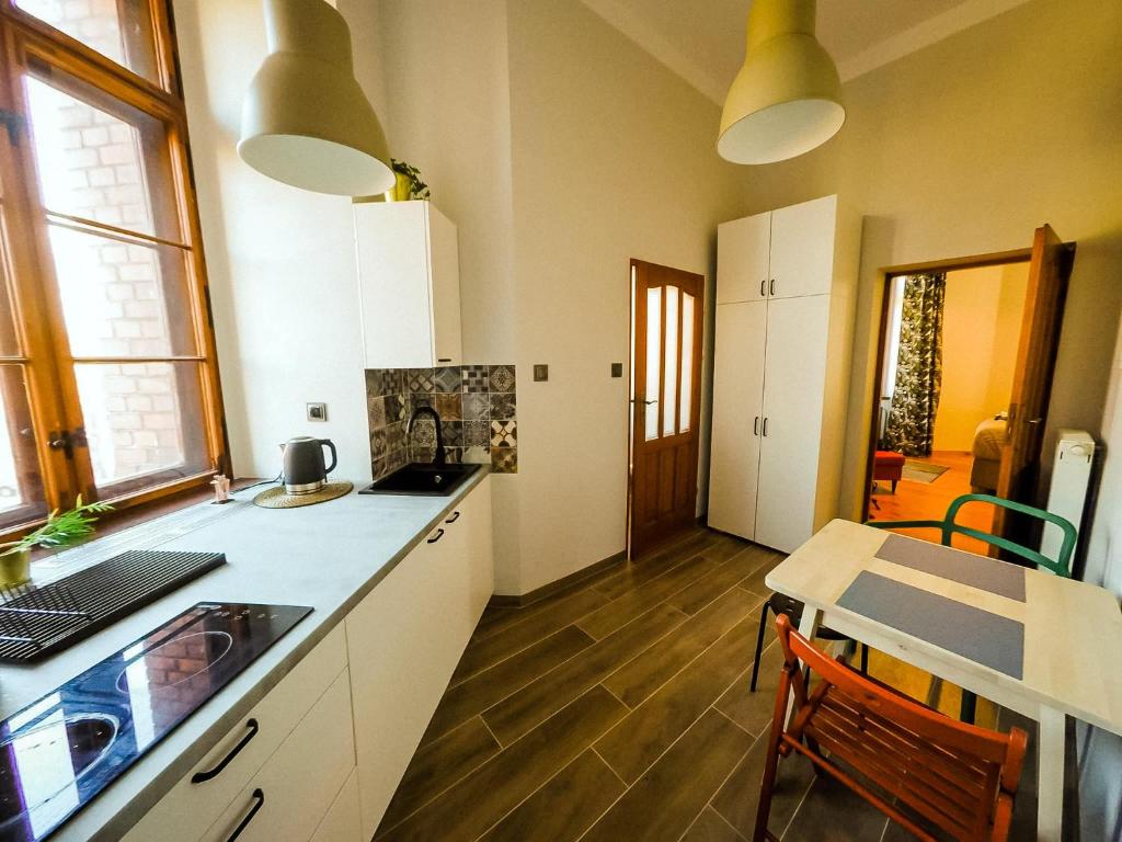 Kuchyňa alebo kuchynka v ubytovaní Apartamenty w Wieży