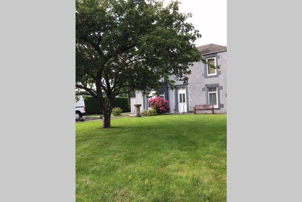 a white house with a tree in the yard at 1 Catherines City Cottage in Perth