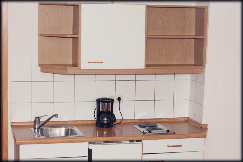 Kuchyň nebo kuchyňský kout v ubytování Hotel in
