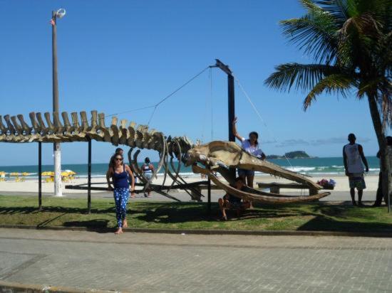  Casa dos 20 amigos piscina churrasqueira 500 m da praia