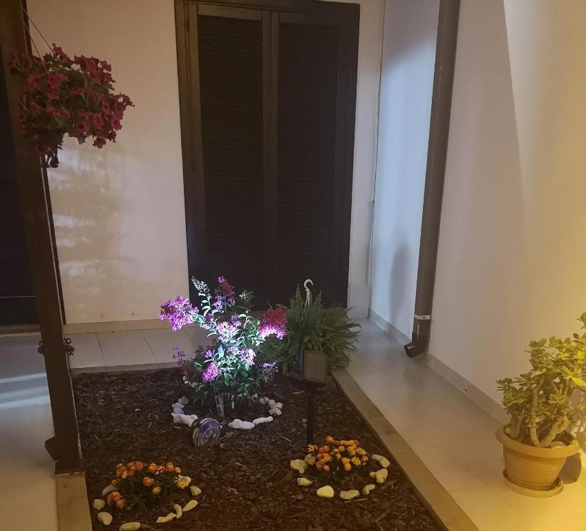 Fotografie z fotogalerie ubytování B&B Amèsa v destinaci Sternatia