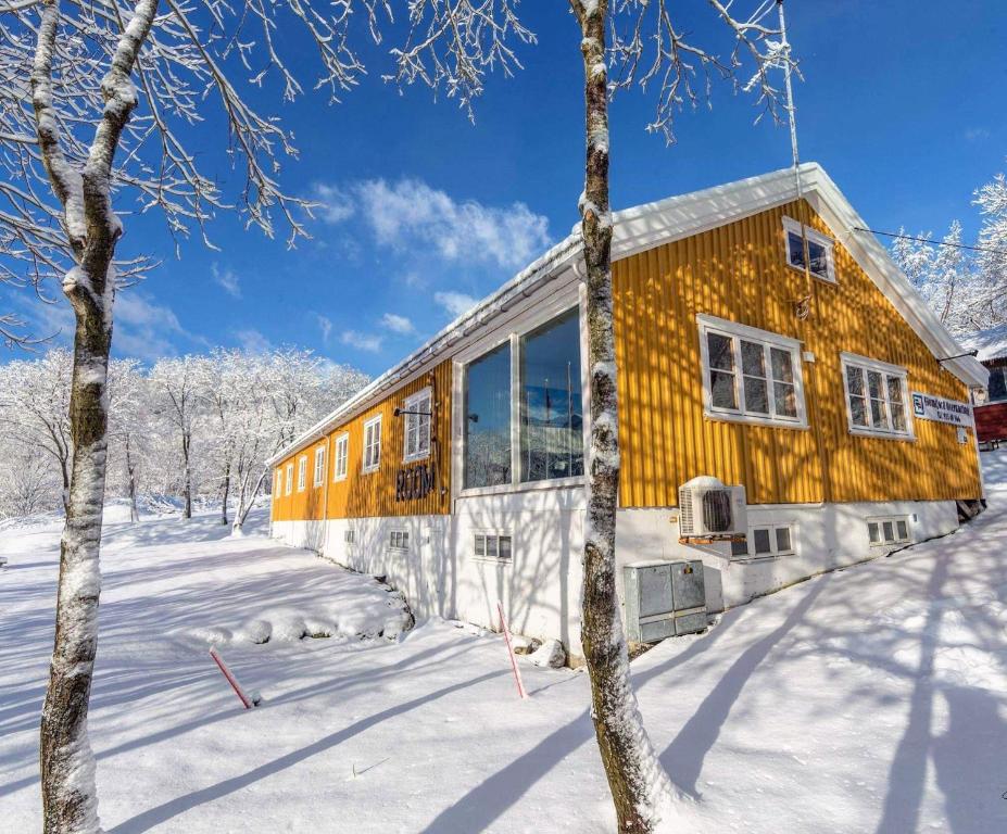 a house in the snow with trees at Gulbrakka Basecamp in Glomfjord