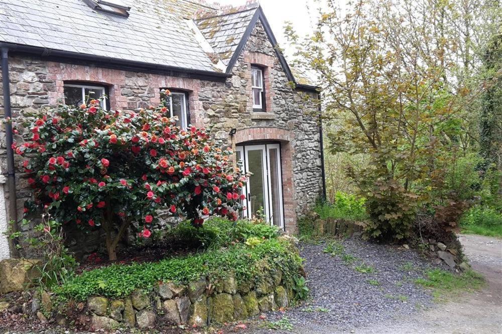 a stone house with a bush of roses in front of it at Cwmbrandy Cottage in Fishguard
