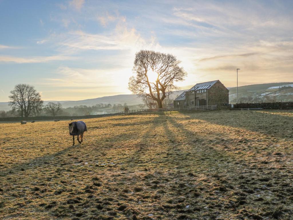 un animal parado en un campo con un árbol en Briar Barn, en Bishop Auckland