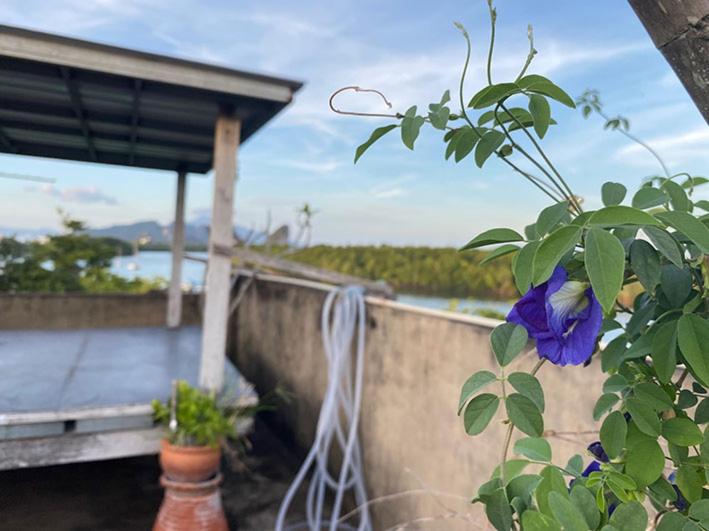 Balkón nebo terasa v ubytování Smile Guesthouse Krabi