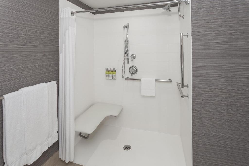 Holiday Inn Express & Suites Riverhead - Long Island by IHG - King Room With Roll-In Shower - Disability Access
