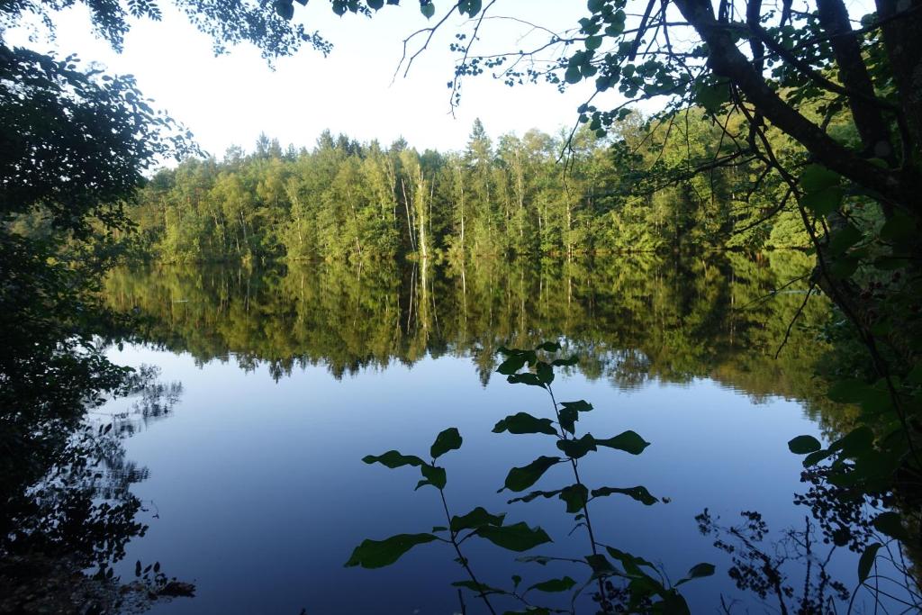Příroda nedaleko apartmánu