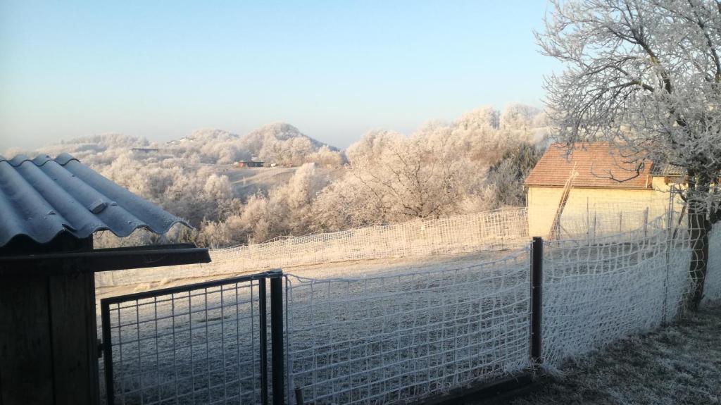 Příroda nedaleko apartmánu