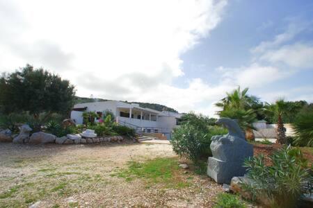 une maison avec une statue d'oiseau devant d'une cour dans l'établissement VILLA DELFINI 2-12 Pax, à San Vito Lo Capo