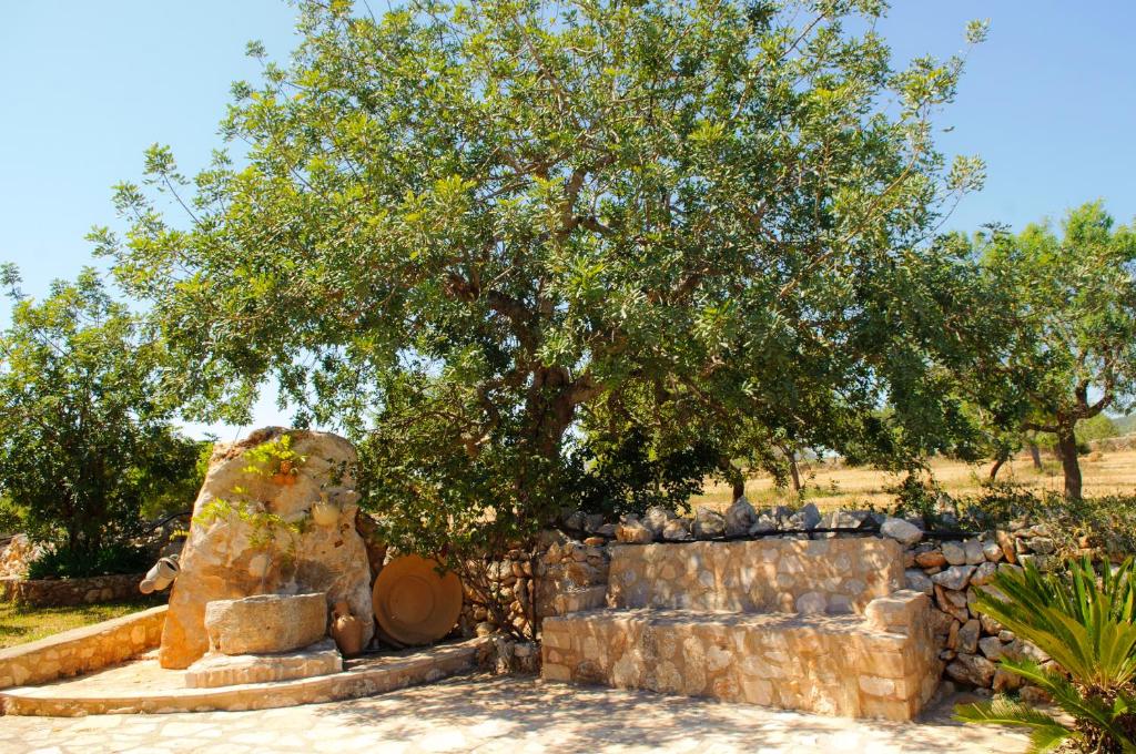 Vonkajšia záhrada v ubytovaní Finca Cullera