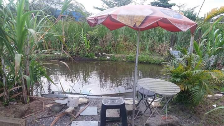  Casa com piscina e lago para pesca
